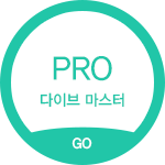 다이브 마스터