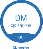 다이브마스터