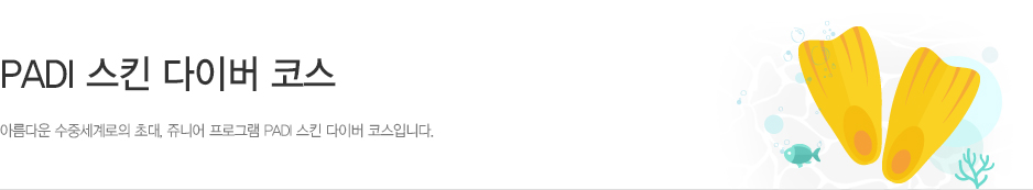 씰 팀 (만 8세 이상)