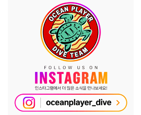 oceanplayerdive instagram
